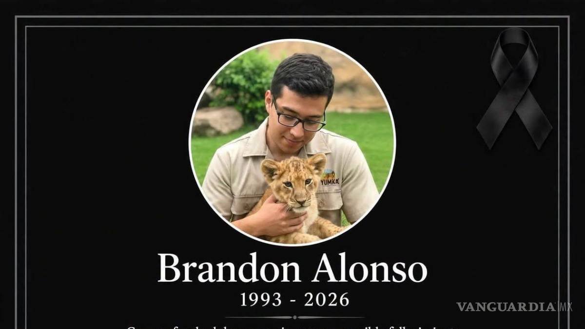 Muere fotógrafo DIF Tabasco: Brandon Arias arrollado en Villahermosa