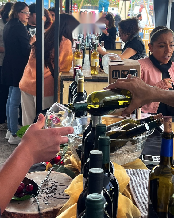 Guanajuato cierra sus Fiestas de Vendimia 2026 con vino, gastronomía y un festival de calabazas