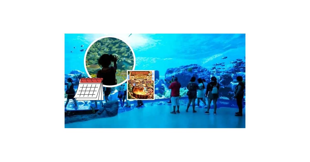 Acuario de Veracruz realizará recorrido interactivo y taller para niños en octubre 2026 | Fechas, horarios y costos