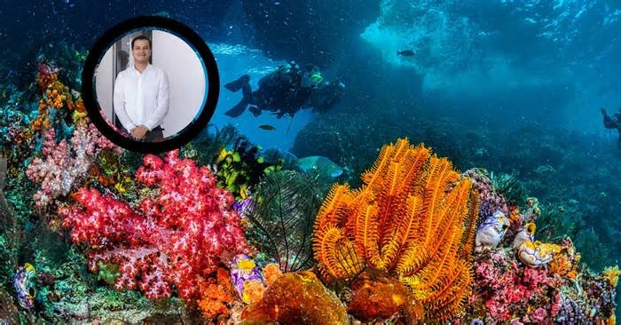 Aquarium de Veracruz logra reproducir corales en laboratorio para recuperar arrecife