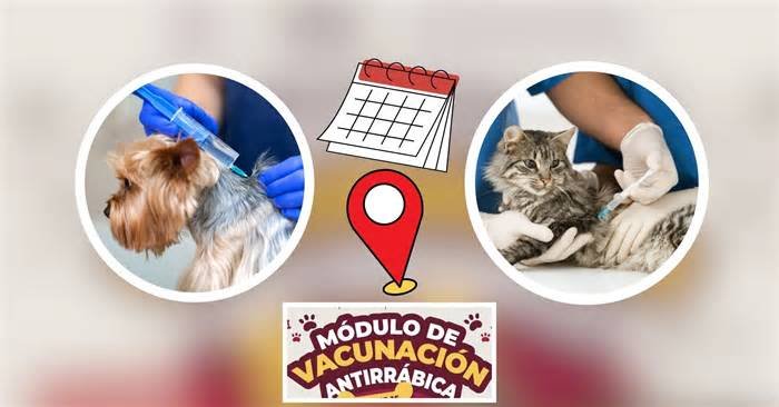 Aplicarán vacuna antirrábica gratis a perros y gatos en este parque de Veracruz; fecha y hora