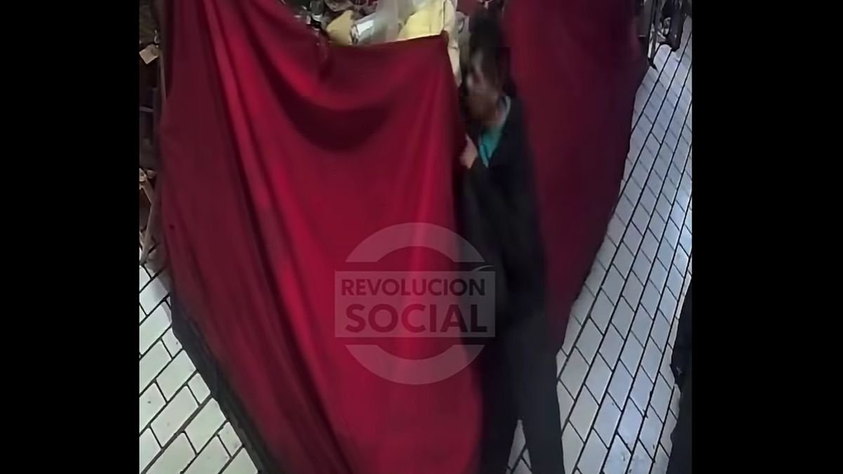 Captan a "ratas" que madrugan puntuales para robar el mercado San Juan de Morelia