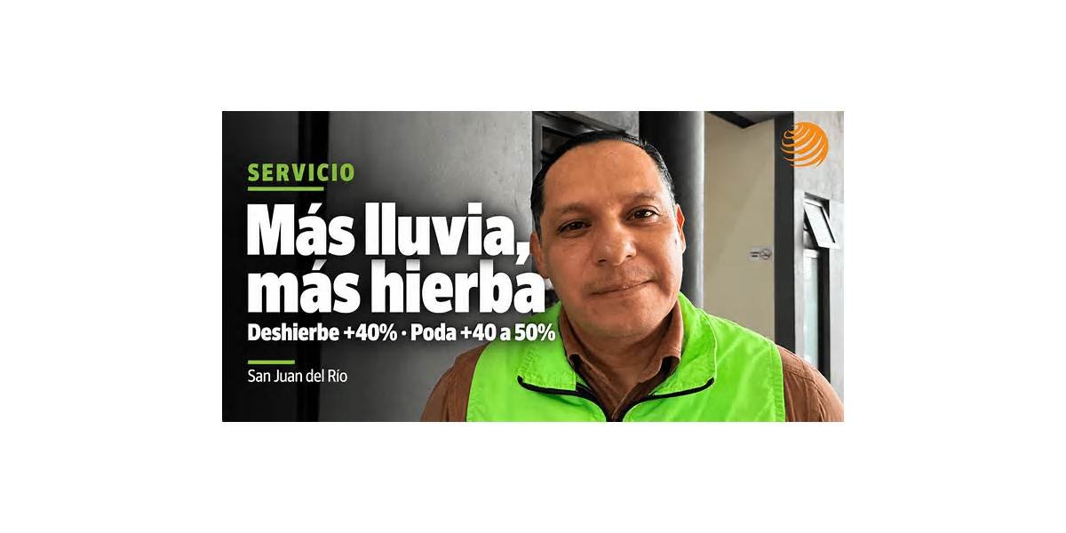 Lluvias elevan 40% el deshierbe en San Juan del Río