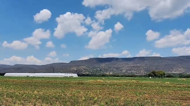 San Jerónimo, la comunidad agrícola de Purísima del Rincón que rechaza el paso del tren México-Guadalajara