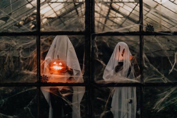 ¡No faltes! Llega el Terror Fest 2026 en Saltillo; te decimos cuándo, dónde y precios del festival de horror