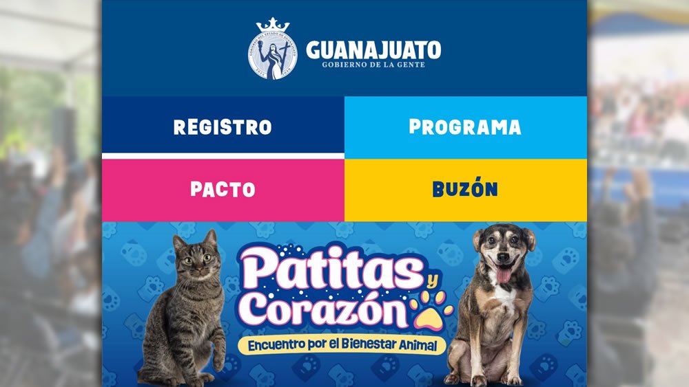 Habilitan portal para el bienestar animal en Guanajuato