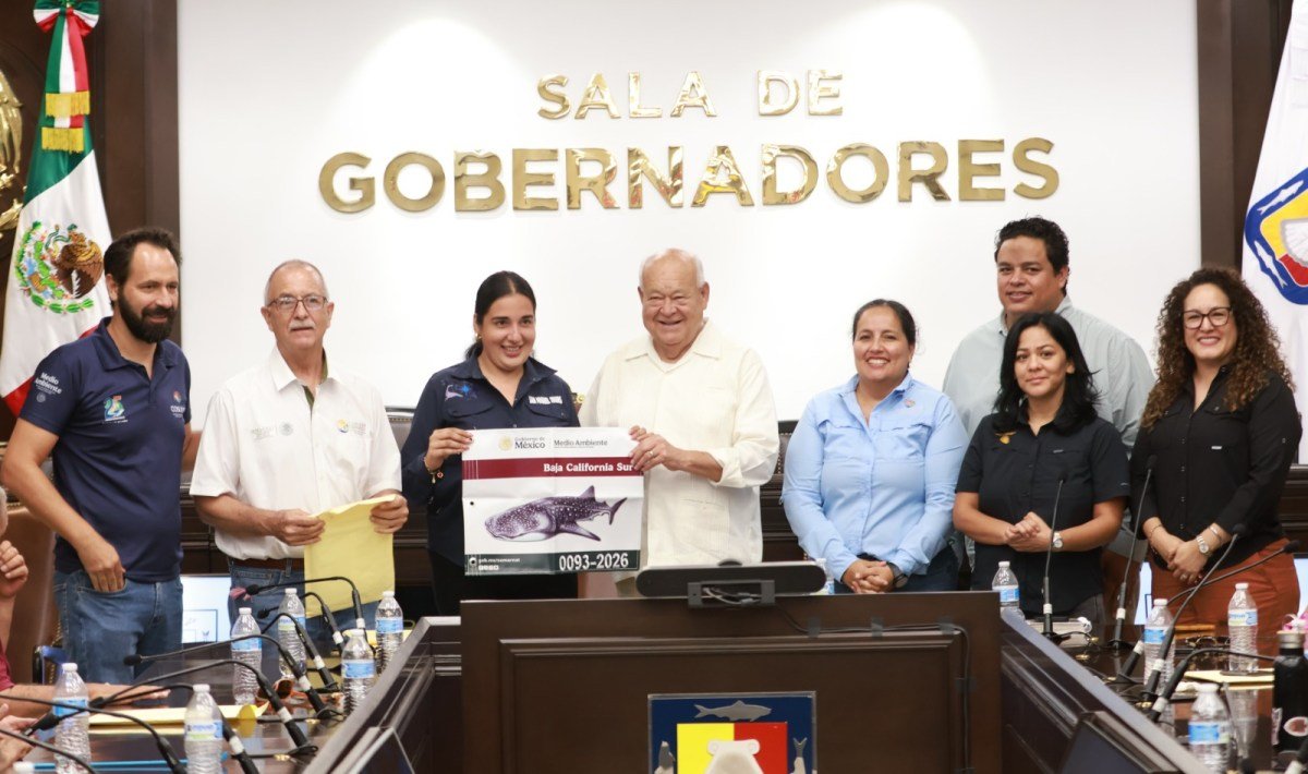 Entregan 112 banderolas para regular el avistamiento de tiburón ballena en La Paz