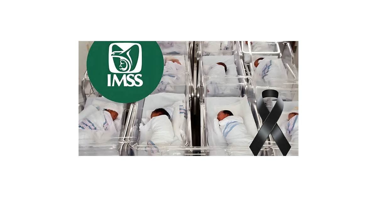 IMSS revisará sus 77 unidades neonatales tras muertes de recién nacidos en hospital de Guadalajara; investigan posibles infecciones