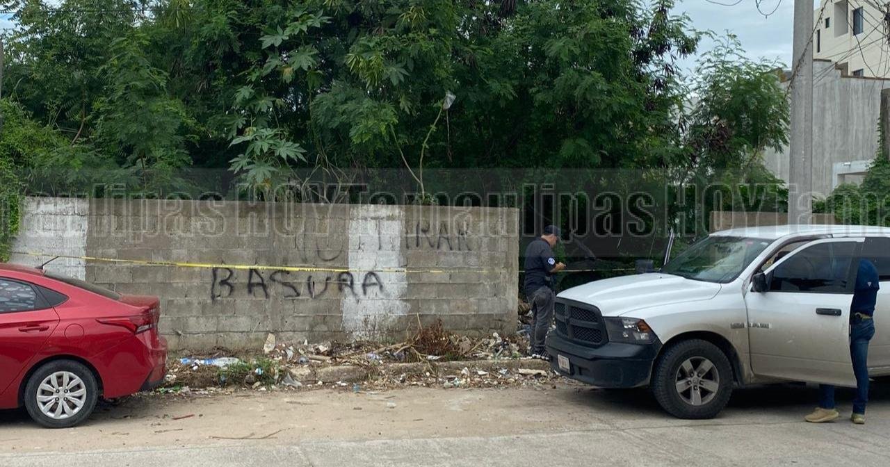 Hallan cadáver en descomposición en predio de Tampico