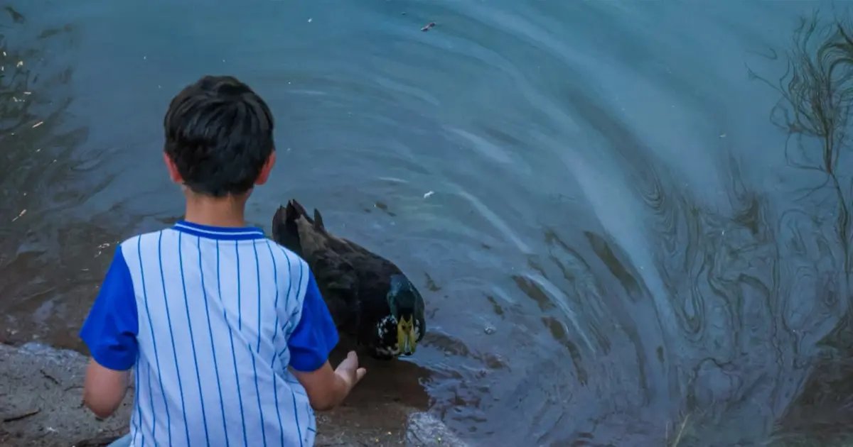 ¿Cuándo dará tregua el calor en Sonora? Un frente frío está en camino