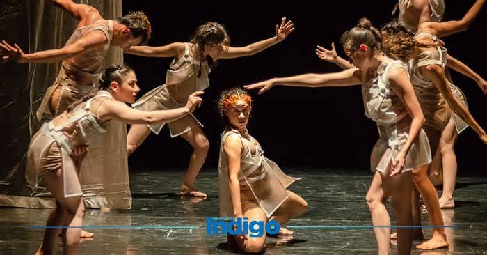 Encuentro Metropolitano de Danza Contemporánea 2026: fechas, horarios y boletos en Monterrey