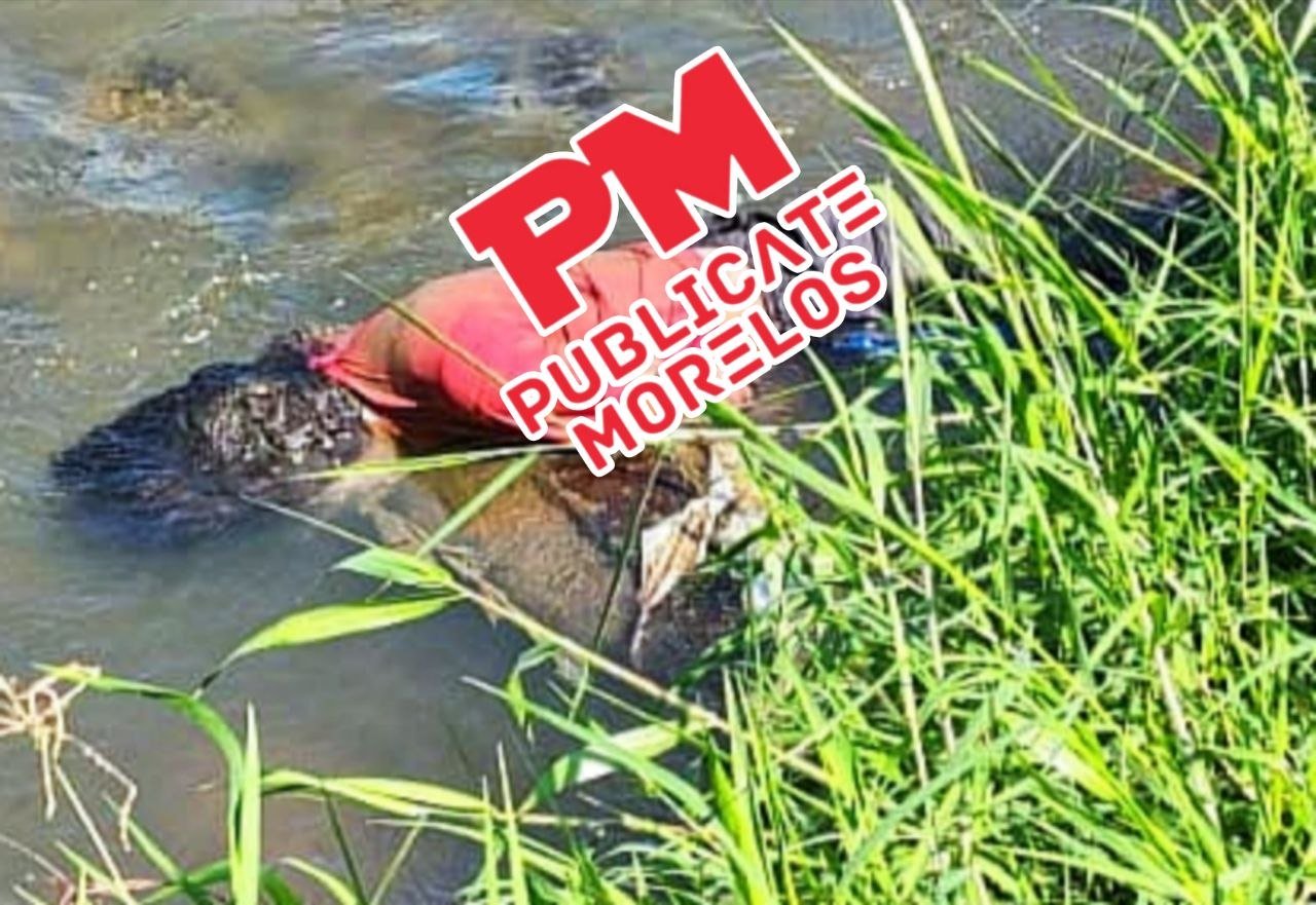 MUJER ES LOCALIZADA SIN VIDA EN UN RÍO DEL MUNICIPIO DE AYALA...👇