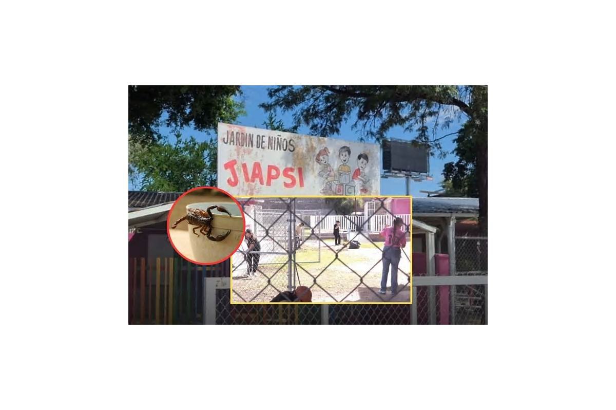 Preescolar Jiapsi de Hermosillo seguirá con clases a distancia por alacranes mientras la SEC prepara una tercera fumigación