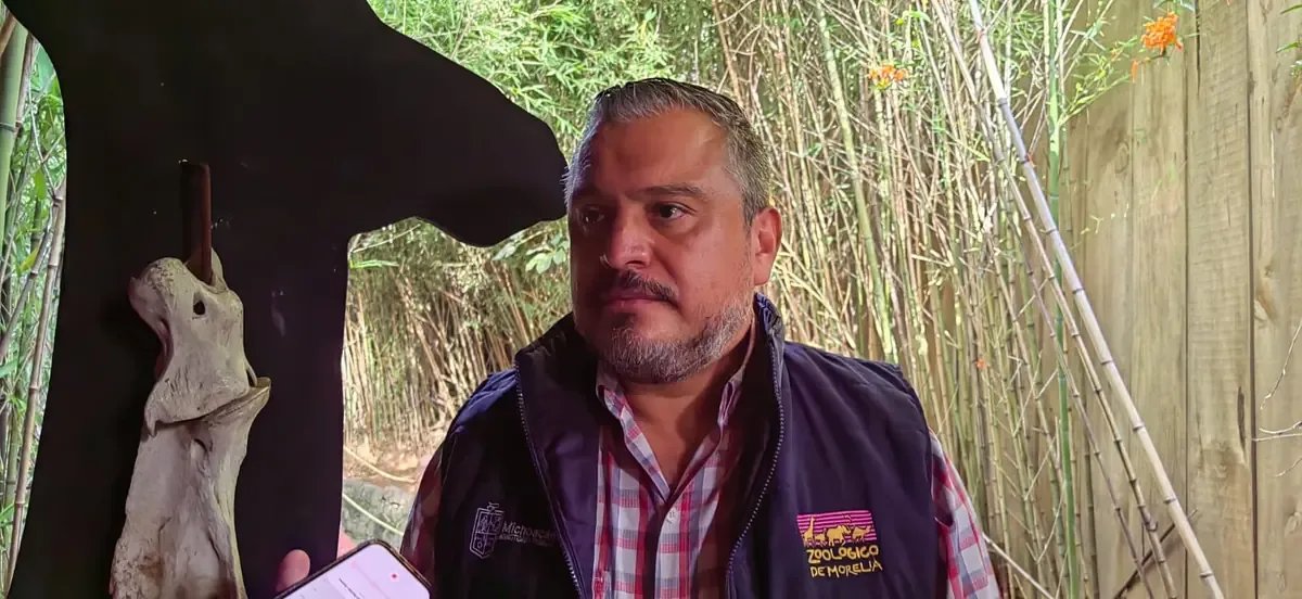 Morelia: zoológico no puede quedarse con animales rescatados