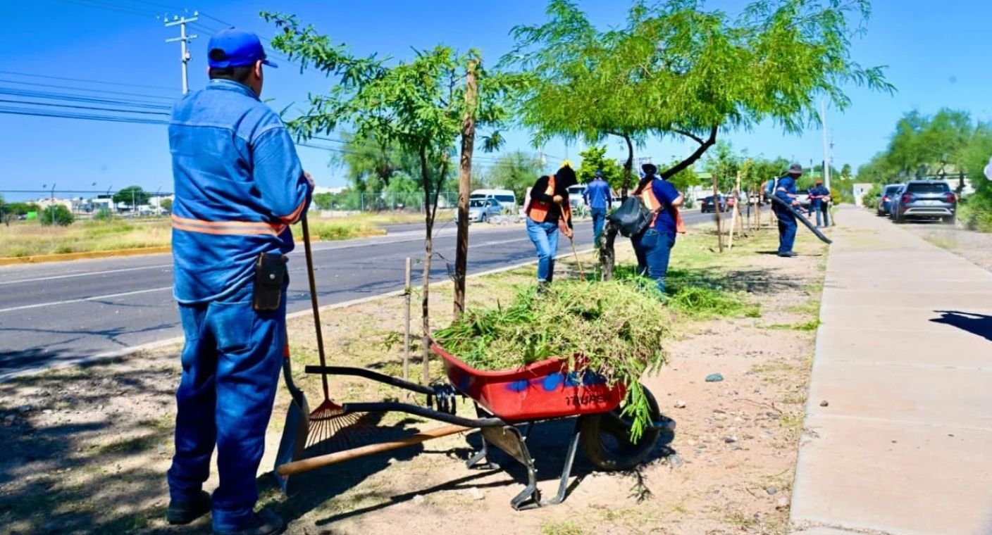 Realiza labores de limpieza camellones del Vado del Río en Hermosillo con programa de Empleo Temporal