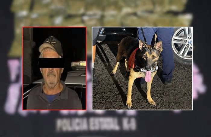 Un reporte ciudadano moviliza a la Policía Estatal en el Centro de Hermosillo y termina con un detenido y 70 envoltorios de presuntas drogas