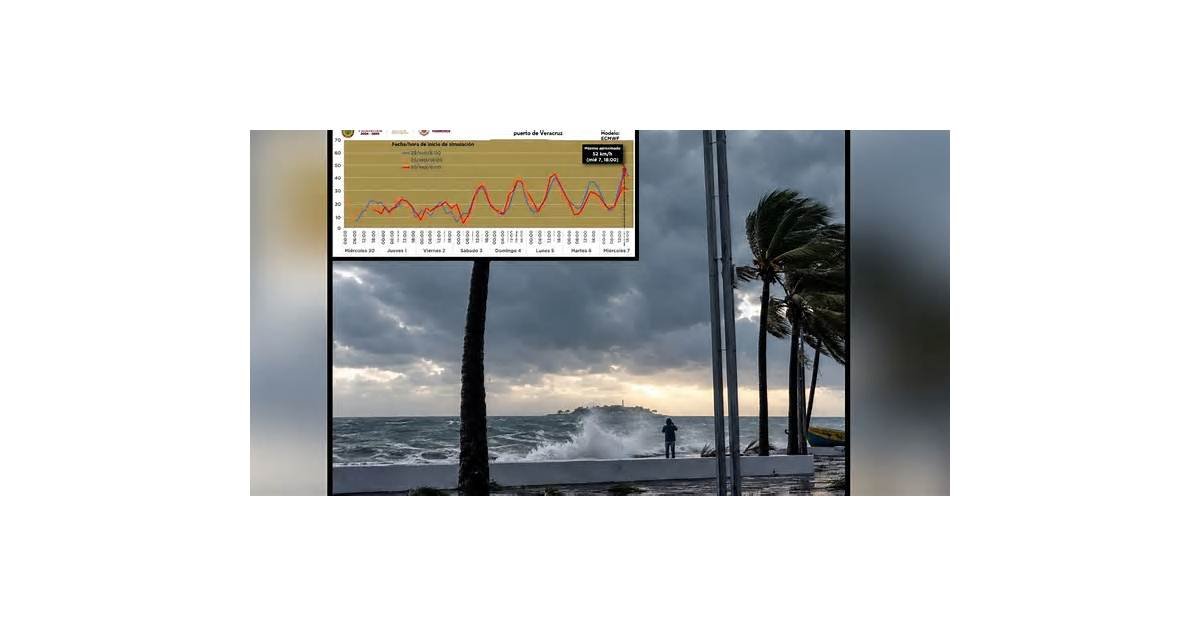 Frente frío en Veracruz: Protección Civil alerta sobre el momento en que las rachas de viento alcancen los 60 km/h en próximos días