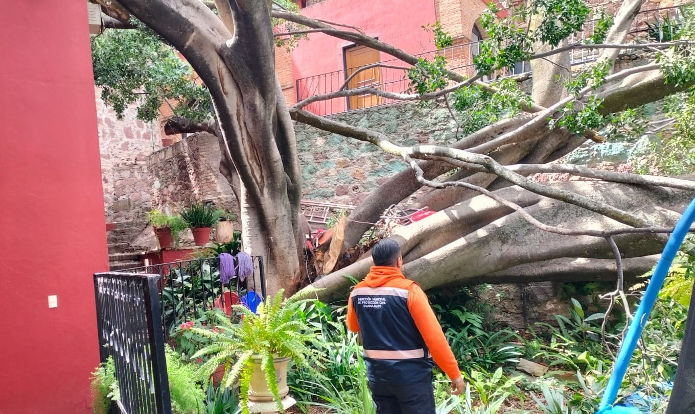 Atienden 40 reportes por fuertes vientos en Guanajuato capital