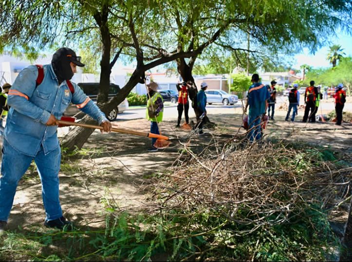 Avanzan jornadas intensas de limpieza en calles y camellones de Hermosillo