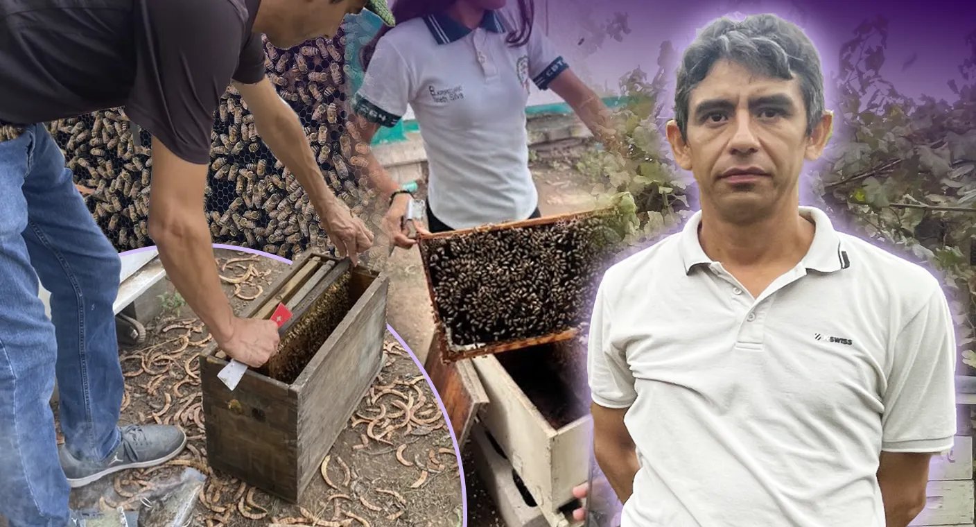 Profesor de la Costa de Hermosillo crea proyecto para rescatar abejas,