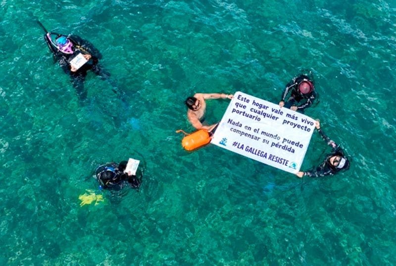 ¡QUE TIENEN PERMISOS! - *ASIPONA justifica ampliación del puerto de Veracruz con aval ambiental