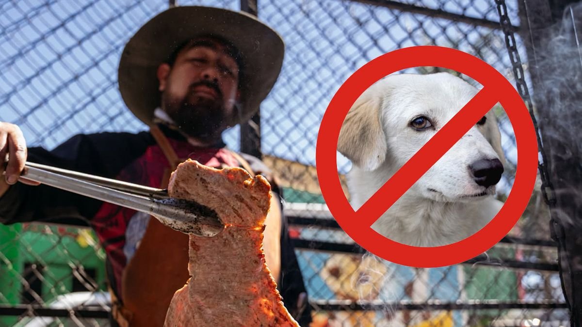 Festival del Asado en Morelia no permitirá el ingreso de mascotas este fin de semana