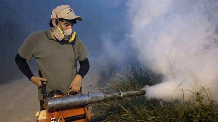 Sonora se convierte en epicentro nacional del dengue: supera los 1,860 casos y reporta 5 muertes