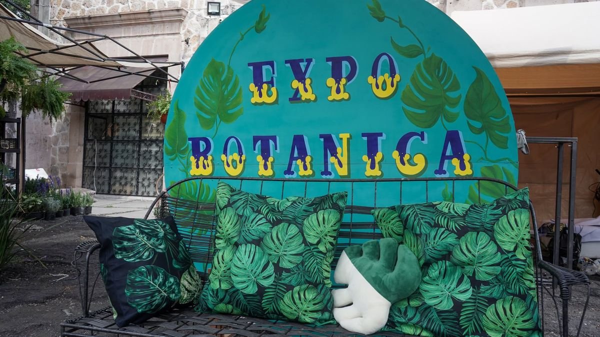 Expo Botánica en Morelia se despide hoy; hay plantas, talleres y acceso gratuito