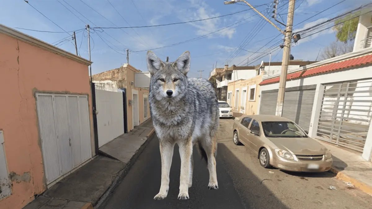 ¿Sabías que esta calle de Durango se llamaba antiguamente ‘De los Coyotes’?