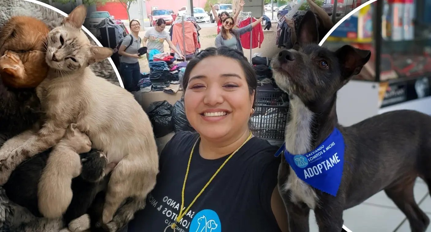 Organizan evento con comedia y exhibición canina para apoyar mascotas rescatadas en Hermosillo