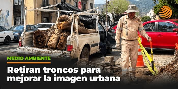 San Juan del Río retira troncos para mejorar su imagen urbana