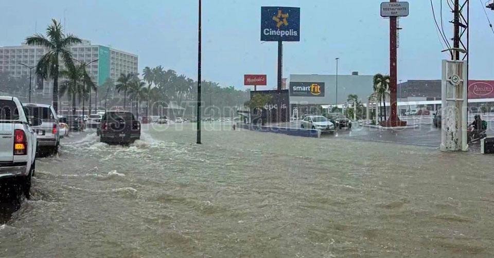 Lluvias causan encharcamientos y caídas de árboles en Tampico