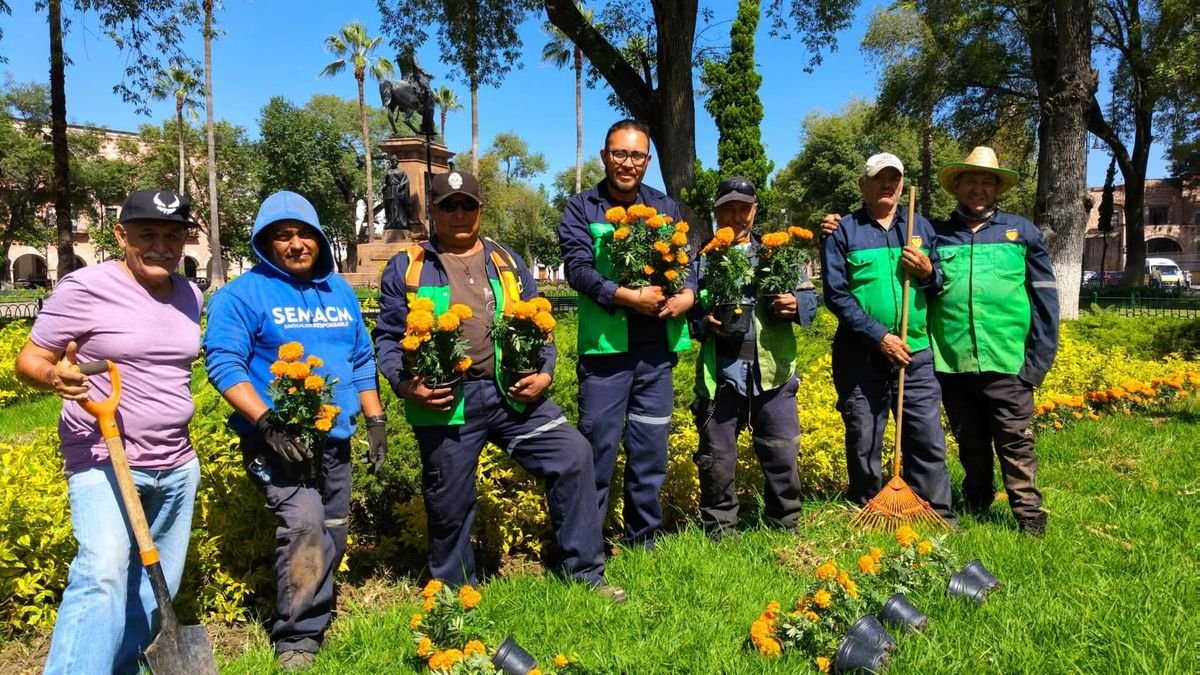 Morelia se pinta de naranja con flores de cempasúchil por Noche de Muertos