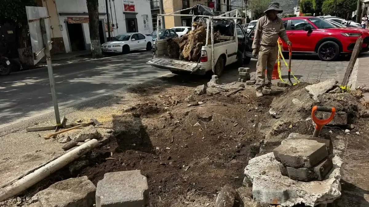 Retiran troncos en Avenida Juárez de San Juan del Río