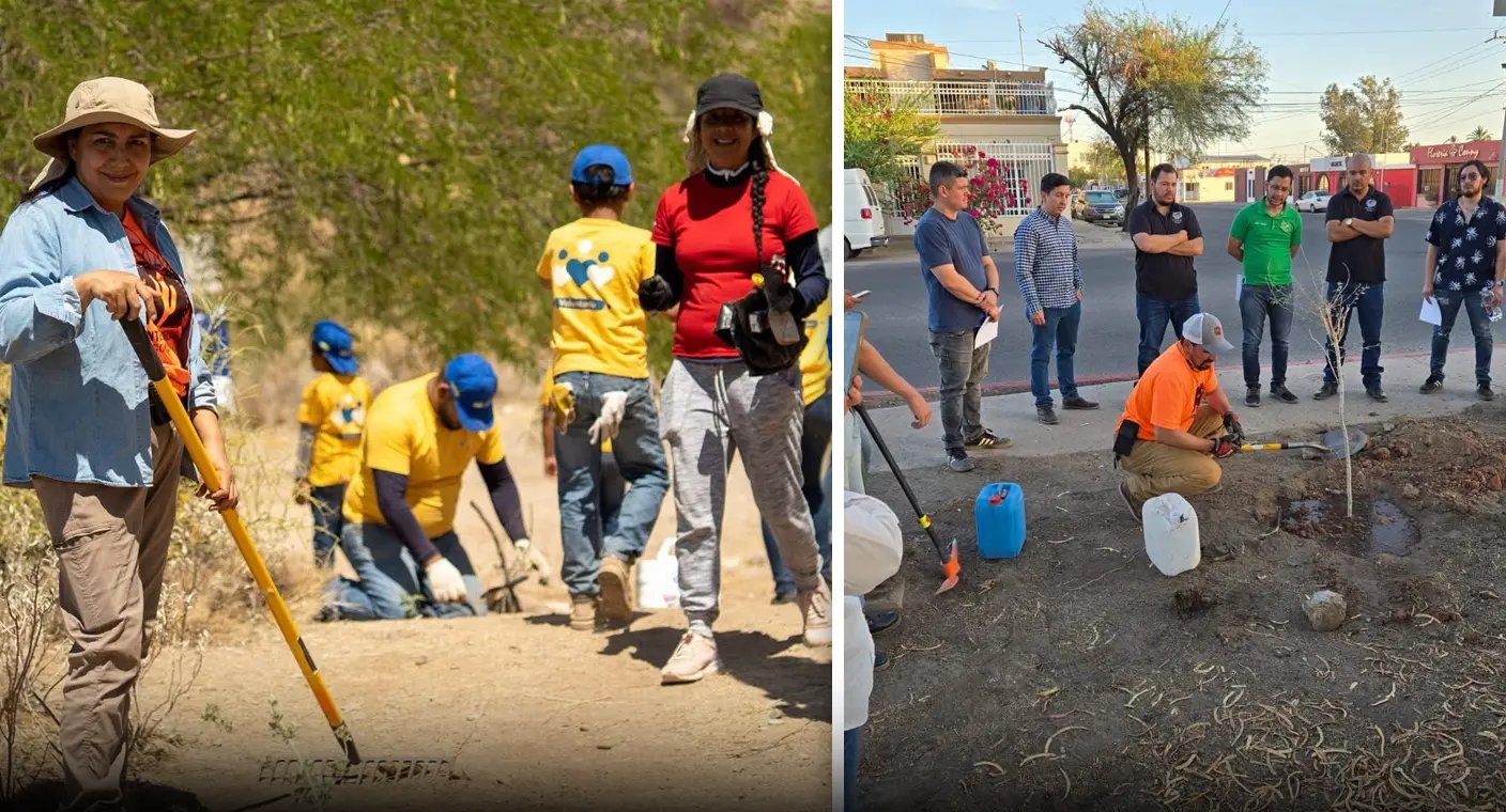 Invita Caminantes del Desierto a taller ‘Sombra360’ sobre reforestación y cuidado de árboles en Hermosillo