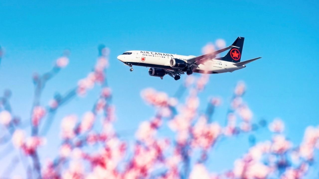 Air Canada abrirá ruta directa Monterrey-Montreal en 2027: fechas, frecuencias y conexiones