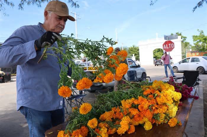Flores para Día de Muertos mantienen su precio en Hermosillo