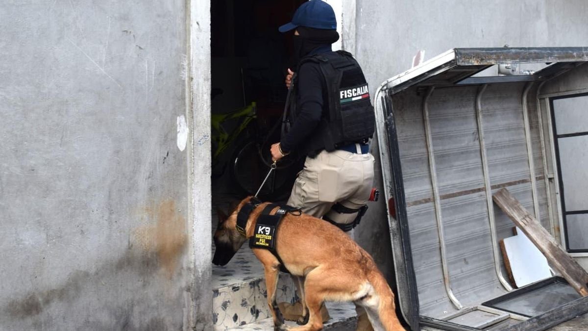 Cateos en José María Morelos, Solidaridad, La Colina y Lucio Cabañas dejan seis detenidos en Morelia