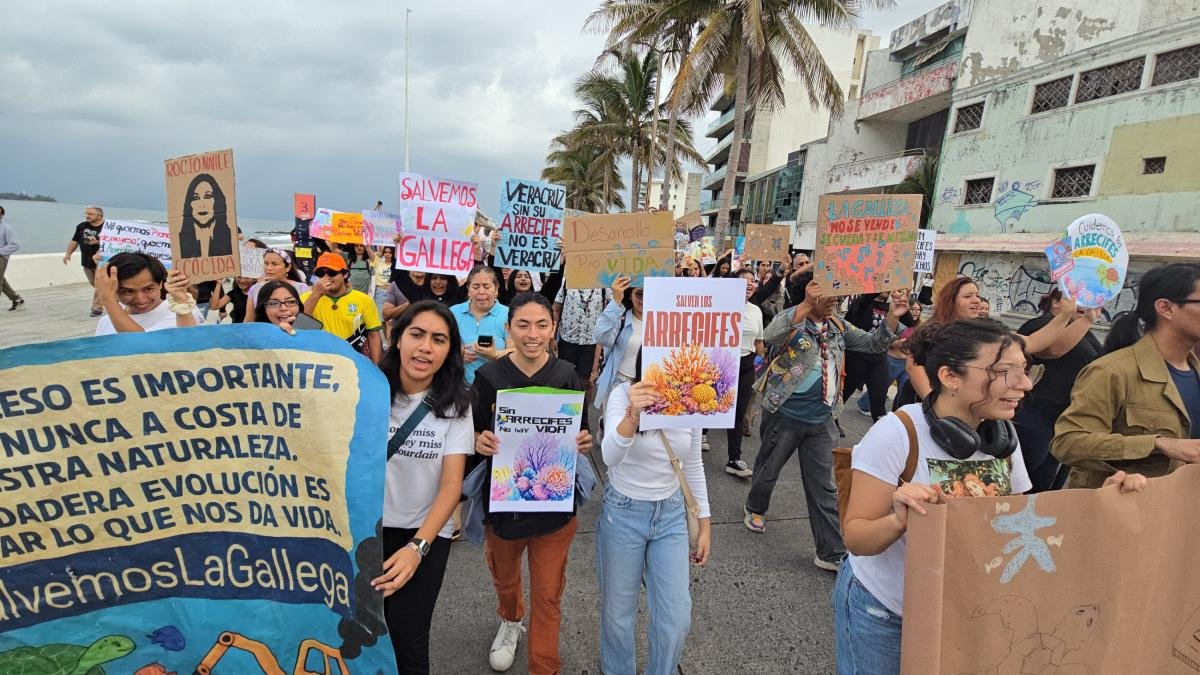 Rechazan activistas obras de ampliación en el puerto de Veracruz