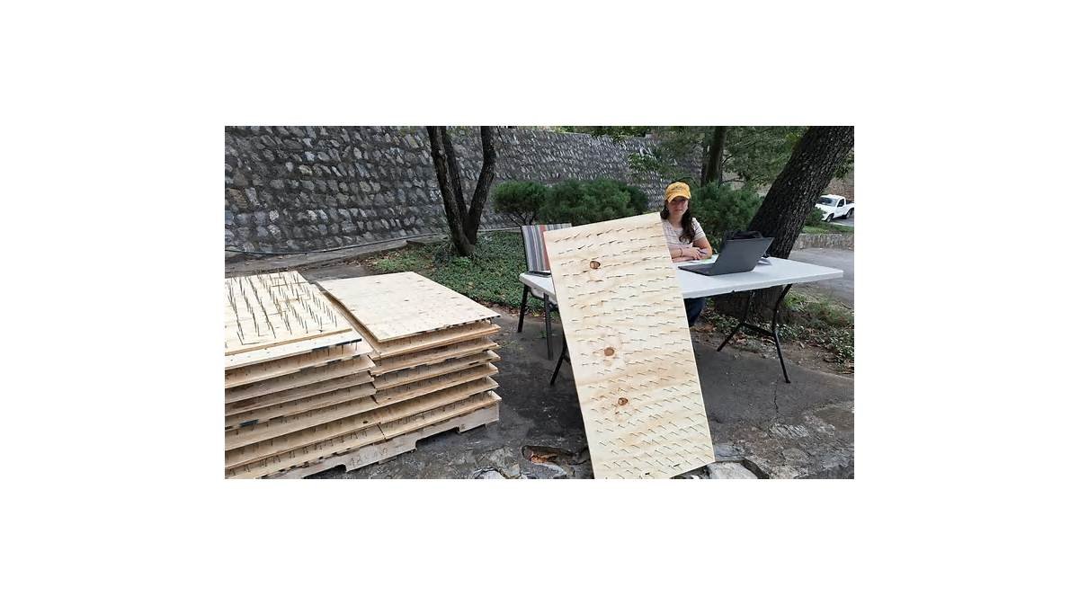 Monterrey pone tablas con clavos para ahuyentar a los osos