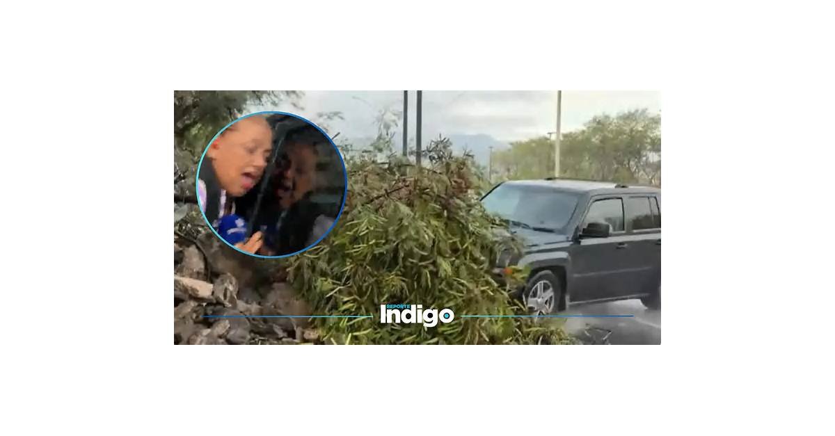 Atropellan a reportera y camarógrafo durante enlace en vivo en Monterrey