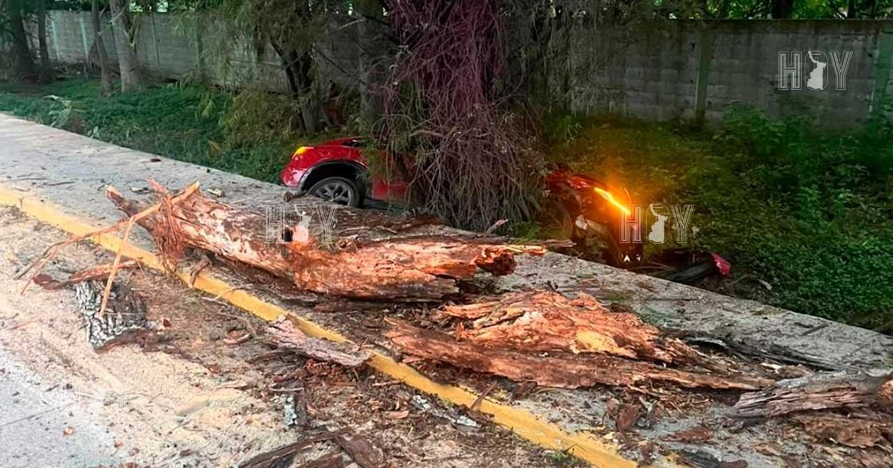 Pierde el control y acaba entre la maleza en Tampico
