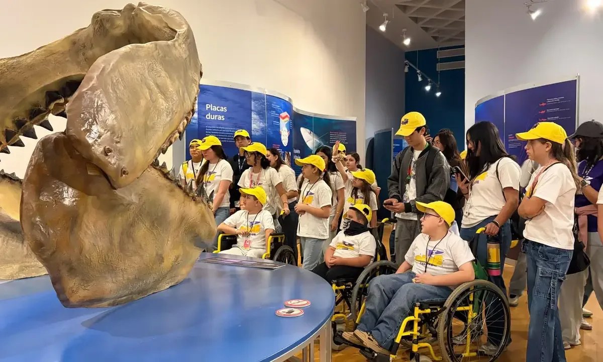 La exposición “Tiburones” en Hermosillo atrae más de 15 mil visitantes