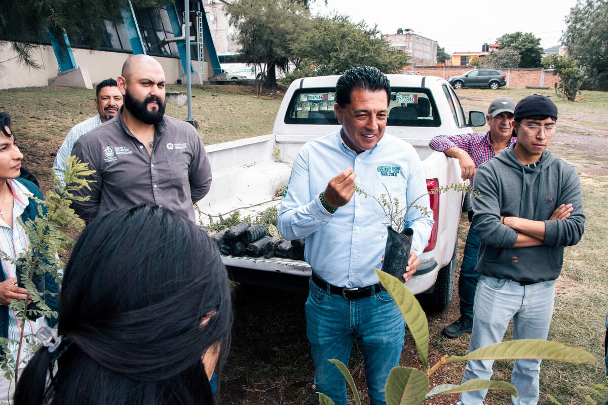 Universidad Tecnológica de San Juan del Río establece microbosque con 50 plantas nativas
