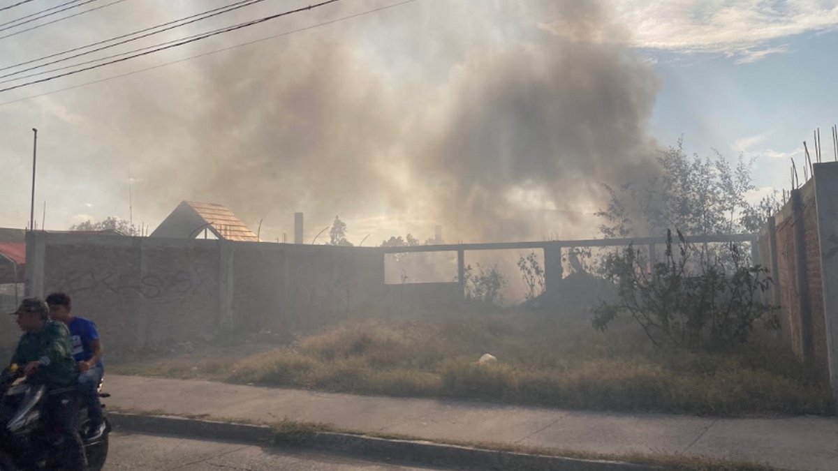 Sin castigo, incendios en Salamanca: solo dos multas por 685 quemas de predios y pastizales