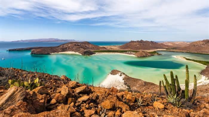 Buscan voluntarios para vivir en una playa paradisíaca de Baja California: ofrecen alojamiento gratis