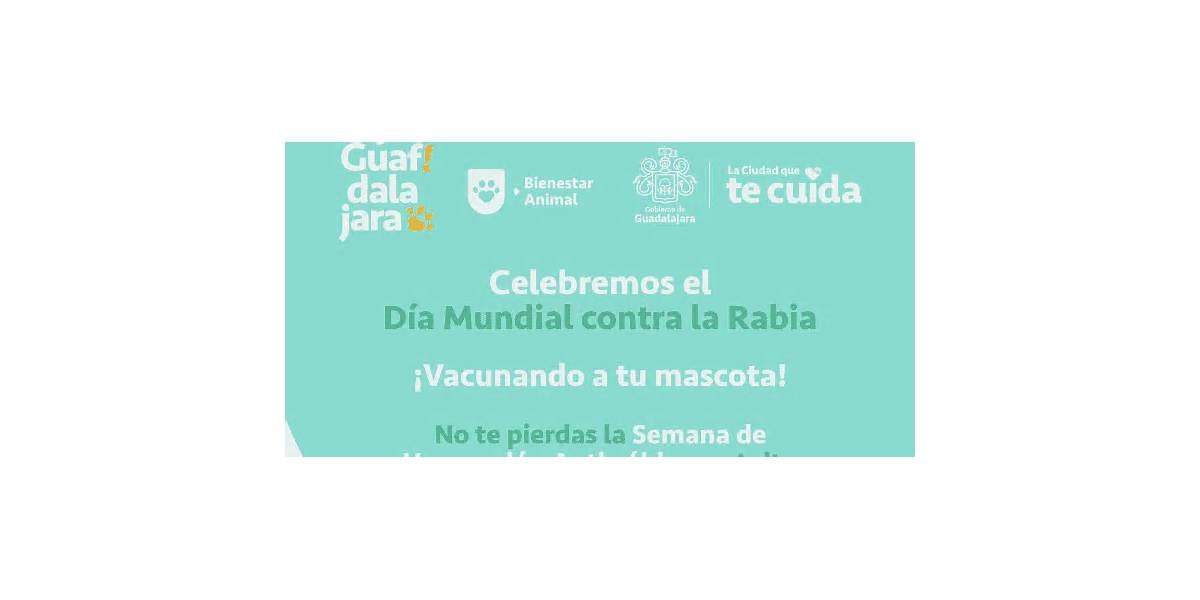Aprovecha los últimos días de la vacunación antirrábica gratis en Guadalajara