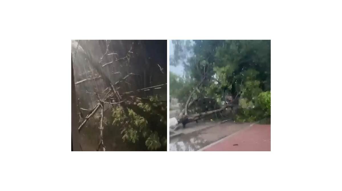Lluvias torrenciales en San Luis Potosí dejan inundaciones, cierres y daños en varias zonas