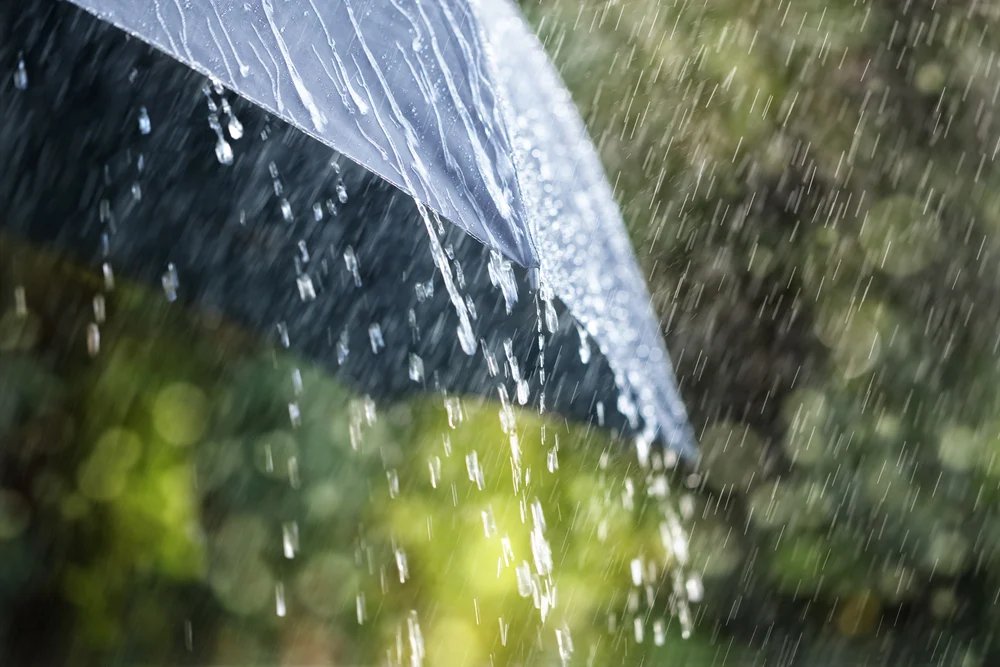 Lluvias torrenciales en Tabasco por Frente Frío 2: Se prevén acumulados intensos y ambiente bochornoso este sábado
