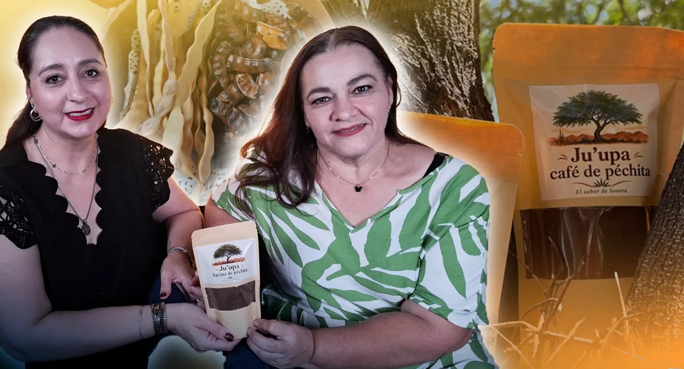 Un sabor del desierto: emprendedoras de Hermosillo transforman la péchita del mezquite en “café” y harina